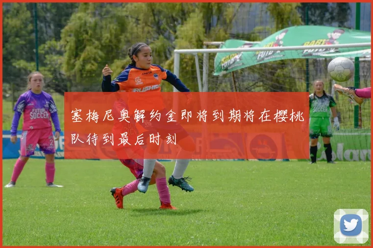 塞梅尼奥解约金即将到期将在樱桃队待到最后时刻